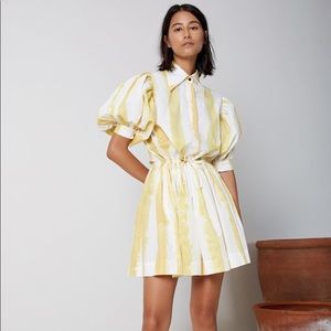 NWOT SWF Mini Collar Dress